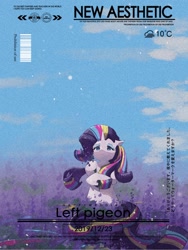 Size: 1620x2160 | Tagged: safe, artist:lendftcn, rarity, pony, unicorn, g4, female, flower, flower field, horn, mare, rainbow power, solo, text