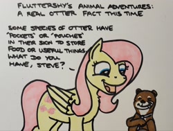 Size: 2048x1550 | Tagged: safe, artist:hoofclid, fluttershy, otter, pegasus, pony, g4, chest fluff, clothes, dialogue, duo, female, mare, marker drawing, necktie, open mouth, open smile, smiling, traditional art