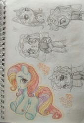 Size: 876x1280 | Tagged: safe, artist:shunshell, sunny daze (g3), g3, blushing, looking at you, non-pony oc, photo, sitting, sketch, sketch dump, smiling, smiling at you, traditional art