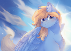 Size: 3206x2314 | Tagged: safe, artist:twinkesss, oc, oc only, oc:lusty symphony, pegasus, pony, chest fluff, commission, ear fluff, female, mare, pegasus oc, smiling, wings