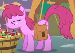 Size: 602x425 | Tagged: safe, screencap, berry punch, berryshine, earth pony, pony, call of the cutie, g4, my little pony: friendship is magic, season 1, animation error, apple, bag, cropped, female, food, mare, saddle bag, solo, standing, they just didn't care