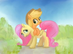 Size: 2732x2048 | Tagged: safe, artist:mandumustbasukanemen, applejack, fluttershy, pony, g4, duo, duo female, female, high res, hug, looking at each other, looking at someone, mare, outdoors, smiling