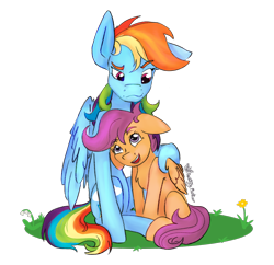 Size: 1306x1264 | Tagged: safe, artist:destiny_manticor, rainbow dash, scootaloo, pegasus, pony, g4, commission, cuddling, duo, duo female, female, filly, floppy ears, flower, foal, folded wings, grass, grass field, looking at each other, looking at someone, mare, multicolored hair, one ear down, rainbow hair, scootalove, sibling love, simple background, sisterly love, sitting, smiling, smiling at each other, transparent background, wings