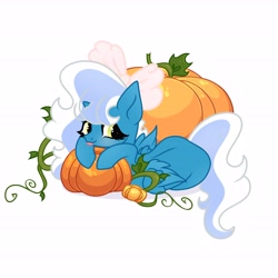 Size: 6890x6890 | Tagged: safe, artist:riofluttershy, oc, oc only, oc:fleurbelle, alicorn, pony, :p, alicorn oc, blushing, bow, female, hair bow, halloween, holiday, horn, looking at you, mare, pink bow, pumpkin, simple background, sitting, solo, tail, tongue out, two toned hair, two toned mane, two toned tail, white background, wings, yellow eyes