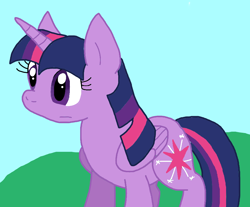 Size: 920x761 | Tagged: safe, artist:cmara, twilight sparkle, alicorn, g4, female, mare, solo, twilight sparkle (alicorn)