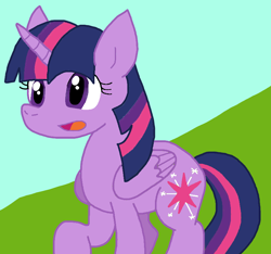 Size: 822x771 | Tagged: safe, artist:cmara, twilight sparkle, alicorn, g4, female, solo, twilight sparkle (alicorn)