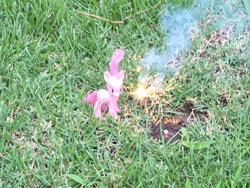 Size: 1032x774 | Tagged: safe, photographer:lovetime17, pinkie pie, earth pony, pony, g4, grass, solo, sparkler (firework)