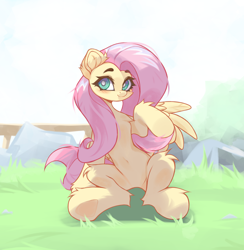 Size: 3950x4055 | Tagged: safe, artist:jfrxd, fluttershy, pegasus, pony, g4, belly, belly button, chest fluff, cute, featureless crotch, female, mare, shyabetes, sitting, solo