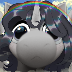 Size: 3000x3000 | Tagged: safe, alternate character, alternate version, artist:rrd-artist, oc, oc only, oc:neil davidson, alicorn, alicorn oc, bangs, boop, close-up, cloud, commission, cracked horn, foreshortening, horn, looking at you, male, o.o, rainbow, shiny mane, snoot, solo, stallion, stare, wide eyes, wings, ych result