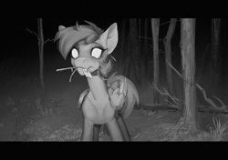 Size: 2480x1748 | Tagged: safe, artist:charlot, oc, oc only, oc:rural soup, pegasus, pony, bow, camera shot, commission, digital art, fangs, forest, glowing, glowing eyes, looking at you, monochrome, nature, night vision, pegasus oc, solo, tail, tail bow, trail cam, tree, ych result