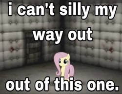 Size: 1170x902 | Tagged: safe, fluttershy, pegasus, pony, g4, caption, female, insanity, mare, meme, padded cell, palindrome get, silly, solo, text