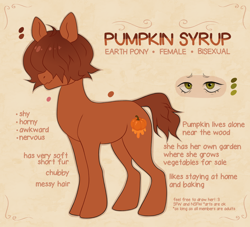 Size: 2200x2000 | Tagged: safe, artist:sociofag, oc, oc:pumpkin syrup, earth pony, pony, cutie mark, earth pony oc, female, hair over eyes, mare, reference sheet, tomboy