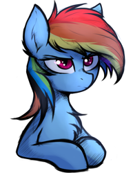 Size: 2700x3500 | Tagged: safe, artist:tatykin, rainbow dash, pegasus, pony, g4, bust, chest fluff, ear fluff, female, high res, mare, simple background, solo, white background