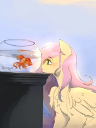 Size: 1536x2048 | Tagged: safe, artist:mikkybun, fluttershy, fish, goldfish, pegasus, pony, g4, chest fluff, cute, female, fish bowl, fluffy, gradient background, shyabetes, signature, sitting, solo, water, wings