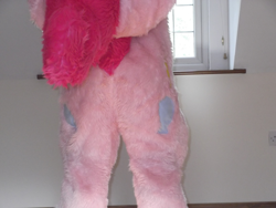 Size: 1286x965 | Tagged: safe, pinkie pie, g4, butt, butt focus, fursuit, indoors, irl, photo, ponysuit, raised tail, solo, tail