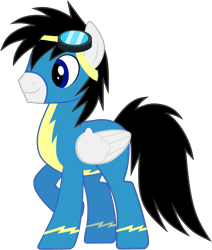 Size: 3478x4104 | Tagged: safe, artist:star-armour95, oc, oc only, oc:shane park, pegasus, g4, clothes, goggles, male, simple background, solo, stallion, transparent background, uniform, vector, wonderbolts, wonderbolts uniform