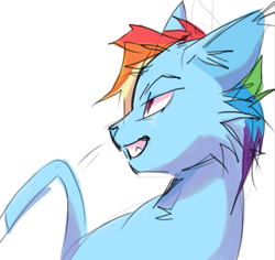 Size: 531x502 | Tagged: safe, artist:skypaw10, rainbow dash, cat, g4, blue fur, catified, grin, multicolored hair, rainbow cat, rainbow hair, simple background, smiling, solo, species swap, teeth, white background