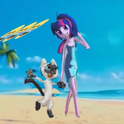 Size: 2000x2000 | Tagged: safe, artist:skypaw10, twilight sparkle, cat, human, semi-anthro, equestria girls, g4, beach, duo, outdoors, walking