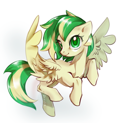 Size: 1024x1024 | Tagged: safe, artist:lawillowsea, oc, oc only, oc:wooden toaster, pegasus, pony, female, mare, simple background, solo, spread wings, white background, wings