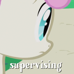 Size: 452x452 | Tagged: safe, screencap, twinkleshine, pony, unicorn, friendship is magic, g4, my little pony: friendship is magic, season 1, background pony, cropped, female, horn, mare, meme, solo, supervising, wow! glimmer