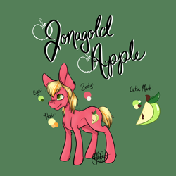 Size: 4096x4096 | Tagged: safe, artist:g-jnotes, oc, oc only, oc:jonagold apple, earth pony, pony, absurd resolution, bucktooth, colt, foal, freckles, green background, male, name, offspring, parent:big macintosh, parent:cheerilee, parents:cheerimac, reference sheet, signature, simple background, solo