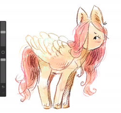 Size: 1653x1549 | Tagged: safe, artist:lutraviolet, fluttershy, pegasus, pony, g4, alternate design, art program in frame, big ears, blush lines, blushing, colored hooves, colored wings, colored wingtips, cute, doodle, dot eyes, ear fluff, eyelashes, female, folded wings, hair over one eye, hatching (technique), hooves, lighter coat, long mane, long tail, mare, no mouth, pink mane, pink tail, procreate app, shy, shyabetes, simple background, solo, standing, tail, two toned wings, unshorn fetlocks, wavy mane, wavy tail, white background, white wingtips, wing fluff, wings, yellow coat, yellow hooves