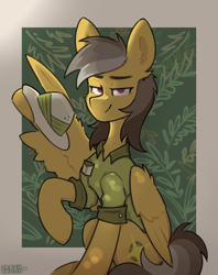 Size: 3000x3786 | Tagged: safe, artist:crashbrush, daring do, pegasus, pony, g4, clothes, ear fluff, feathered wings, female, folded wings, high res, looking at you, mare, passepartout, raised hoof, safari hat, signature, sitting, smiling, solo, wing gesture, wing hold, wings