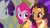 Size: 1280x720 | Tagged: safe, screencap, pinkie pie, rarity, saffron masala, earth pony, pony, unicorn, g4, my little pony: friendship is magic, season 6, spice up your life, female, horn, mare, trio, trio female