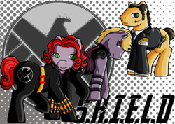 Size: 800x566 | Tagged: dead source, safe, artist:clueless-nu, earth pony, pony, black widow (marvel), clothes, costume, female, hawkeye, male, mare, marvel, marvel cinematic universe, name tag, necktie, phil coulson, ponified, s.h.i.e.l.d., smiling, stallion, suit, tail, trio