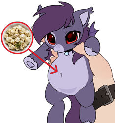 Size: 3828x4085 | Tagged: safe, alternate version, artist:konejo, oc, oc only, oc:pestyskillengton, bat pony, pony, bat pony oc, bat wings, belly fluff, collar, dumplings, female, food, full of pilk, hand, looking at you, mare, meat, not pregnant, ponies eating meat, round belly, simple background, solo, stuffed belly, transparent background, watch, wings