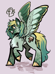 Size: 2004x2672 | Tagged: safe, artist:slimeysquirrels, oc, oc only, pegasus, pony, blue coat, chest fluff, colored ear fluff, colored ears, colored hooves, colored muzzle, colored wings, colored wingtips, concave belly, dark muzzle, dishevelled, ear fluff, facial markings, gold hooves, hooves, leg markings, messy mane, multicolored wings, nervous, nervous smile, original art, pegasus oc, profile, purple background, shiny hooves, shrunken pupils, signature, simple background, smiling, solo, spread wings, standing, standing on two hooves, teal coat, teal mane, three toned wings, two toned mane, two toned wingtips, wings, yellow eyes