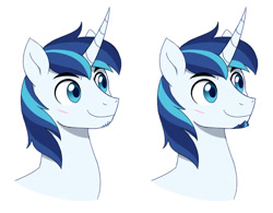 Size: 1280x1000 | Tagged: safe, artist:heilos, shining armor, unicorn, g4, bust, facial hair, goatee, horn, male, portrait, simple background, smiling, solo, stallion, white background