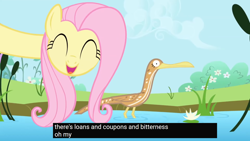 Size: 1920x1080 | Tagged: safe, edit, edited screencap, screencap, fluttershy, bird, bittern, pegasus, pony, g4, season 1, the ticket master, caption, female, long neck, meme, solo, text, water, youtube caption