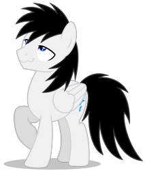 Size: 4811x5641 | Tagged: safe, artist:creedyboy124, oc, oc only, oc:shane park, pegasus, pony, base used, black mane, black tail, blue eyes, male, pegasus oc, raised hoof, simple background, solo, stallion, stallion oc, standing, tail, transparent background, white pony, wings