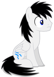 Size: 3632x5177 | Tagged: safe, artist:creedyboy124, oc, oc only, oc:shane park, pegasus, pony, base used, male, pegasus oc, simple background, sitting, solo, stallion, stallion oc, transparent background, wings