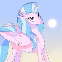 Size: 2500x2500 | Tagged: artist needed, safe, derpibooru exclusive, silverstream, classical hippogriff, hippogriff, g4, female, folded wings, looking up, older, older silverstream, sky, solo, sun, wings