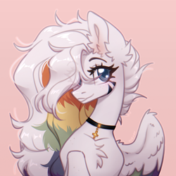 Size: 3000x3000 | Tagged: safe, artist:viryav, oc, oc only, pegasus, pony, blue eyes, blue pupils, blushing, chest fluff, choker, colored pupils, colored wings, cross choker, cute, ear blush, ear fluff, eye clipping through hair, eyebrows, eyebrows visible through hair, facial markings, female, female oc, fluffy, freckles, happy, leg freckles, long mane, mare, mare oc, multicolored hair, multicolored wings, outline, partially open wings, pegasus oc, pink background, rainbow hair, rainbow wings, rainbow wingtips, shiny mane, shoulder freckles, signature, simple background, sketch, slender, smiling, solo, striped mane, thin, white mane, wing fluff, wings