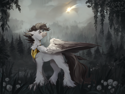 Size: 4000x3000 | Tagged: safe, artist:sweettsa1t, oc, oc only, oc:grae ironwing, hippogriff, black mane, forest background, outdoors, royal guard, shooting star, solo