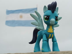 Size: 1032x774 | Tagged: safe, artist:dingopatagonico, soarin', pegasus, g4, argentina, flag, photo, solo