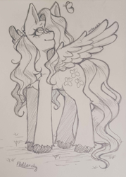 Size: 859x1200 | Tagged: safe, artist:mrln_zz, fluttershy, butterfly, pegasus, pony, g4, eyelashes, feathered wings, female, long legs, long mane, long tail, looking up, meadow, monochrome, pencil drawing, smiling, solo, spread wings, tail, traditional art, unshorn fetlocks, wavy mane, wavy tail, wings