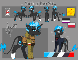 Size: 4508x3480 | Tagged: safe, artist:hrabiadeblacksky, oc, oc only, oc:hrabia de black sky, hybrid, pony, unicorn, g4, the mane attraction, armor, asexual pride flag, blue mane, clothes, commission, commission open, flag, horn, jacket, male, military, military pony, military uniform, navy blue jacket, necktie, patterned background, polish flag, poses, pride, pride flag, reference sheet, reference sheet in description, soldier, soldier pony, solo, stallion, tactical vest, tear-out card, uniform, vest