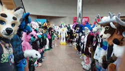 Size: 1280x721 | Tagged: safe, artist:atalonthedeer, artist:forlorn raven, princess celestia, alicorn, g4, convention, furry, fursuit, irl, jewelry, multiple characters, photo, ponysuit, regalia