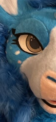 Size: 946x2048 | Tagged: safe, artist:scarletwingsfs, oc, oc only, oc:blue sky, bust, fursuit, irl, photo, ponysuit, portrait, solo