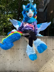 Size: 1536x2048 | Tagged: safe, artist:scarletwingsfs, oc, oc only, oc:blue sky, alicorn, human, fursuit, irl, irl human, outdoors, photo, ponysuit, sitting, solo