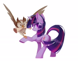 Size: 2735x2150 | Tagged: safe, artist:malt cat, owlowiscious, twilight sparkle, bird, owl, pony, unicorn, g4, duo, duo male and female, female, horn, male, mare, mouth hold, scroll, simple background, unicorn twilight, white background