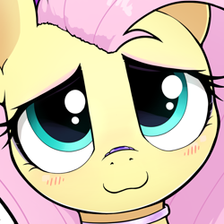 Size: 960x960 | Tagged: safe, artist:whiskeypanda, fluttershy, pegasus, pony, g4, :3, bandaid, bandaid on nose, blush lines, blushing, bust, choker, chokershy, close-up, cute, female, looking at you, shyabetes, smiling, solo