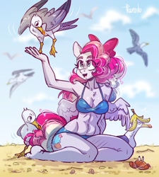 Size: 1944x2160 | Tagged: safe, artist:crazy-leg, oc, oc only, oc:sky sorbet, bird, crab, seagull, anthro, plantigrade anthro, abs, barefoot, beach, clothes, feet, female, open mouth, sand, solo, summer, swimsuit, wings