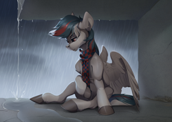 Size: 3676x2607 | Tagged: safe, artist:mithriss, oc, oc only, pegasus, pony, clothes, female, mare, overcast, rain, scarf, sitting, solo, water