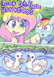 Size: 821x1154 | Tagged: safe, artist:anonymous, fluttershy, rainbow dash, bird, goose, pegasus, pony, g4, /mlp/, 2 panel comic, :o, accidental innuendo, animal, colored, comic, dialogue, double entendre, drawthread, euphemism, female, frown, geese, mare, open mouth, open smile, requested art, smiling, water