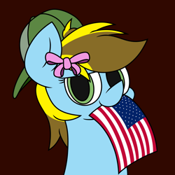 Size: 2562x2565 | Tagged: safe, artist:derpyalex2, oc, oc only, oc:lucky bolt, pegasus, pony, american flag, baseball cap, bow, brown background, bust, cap, digital art, flag, hair bow, hat, simple background, solo, united states